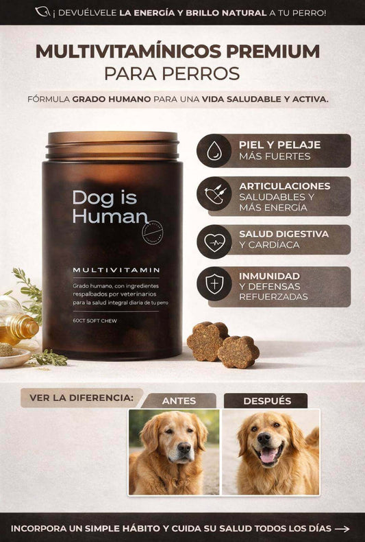Dog is Human - Multivitaminico Diario pata Perros (Sabor a pollo) - Formulado por veterinarios 🐶